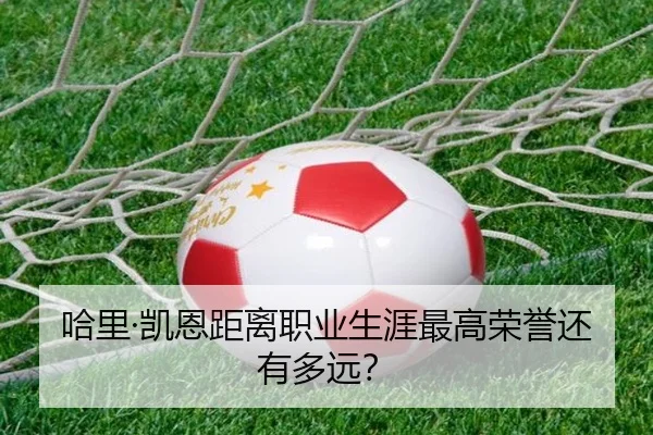 哈里·凯恩距离职业生涯最高荣誉还有多远？