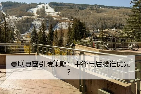 曼联夏窗引援策略：中锋与后腰谁优先？